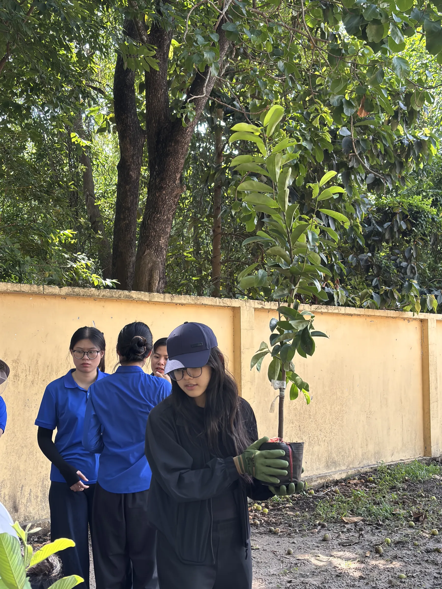 Plant For Change project photo 3