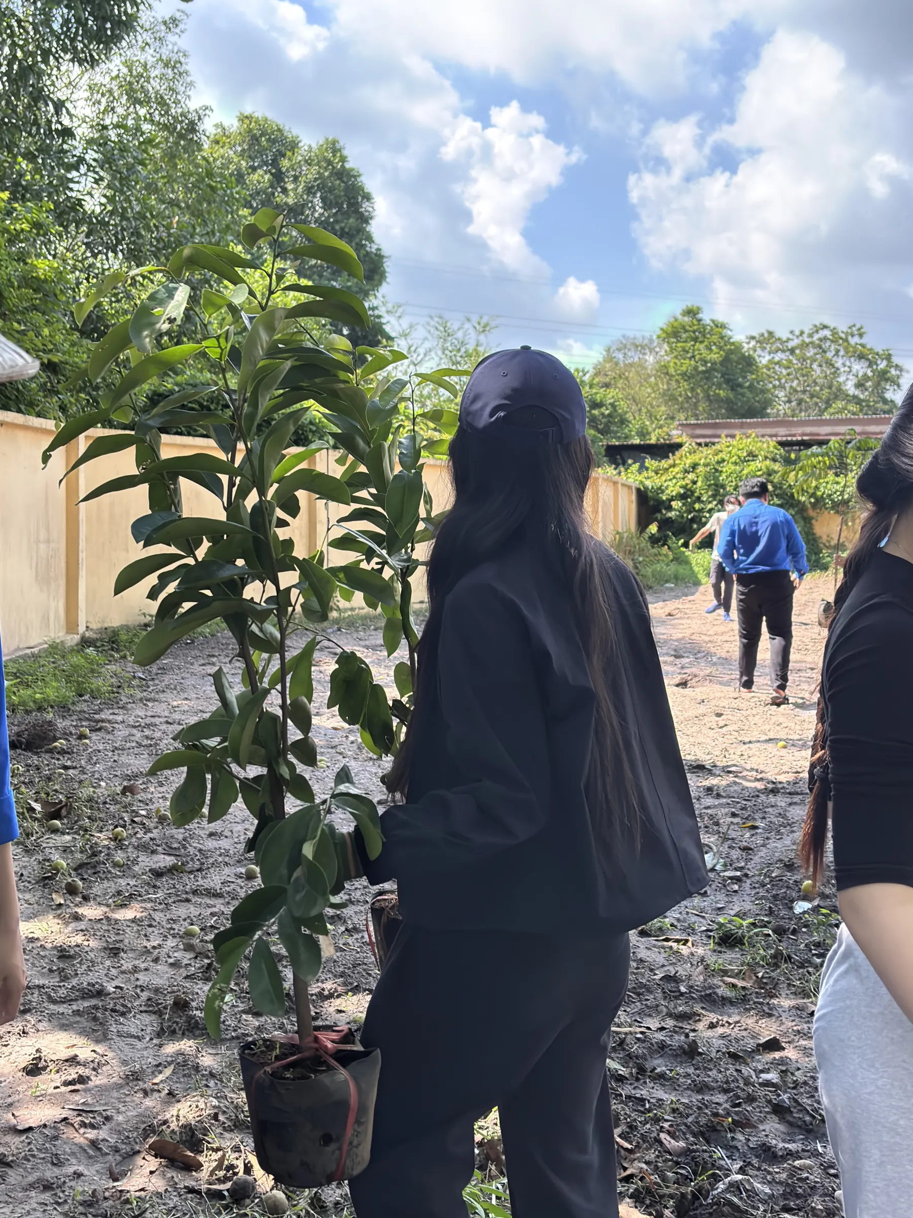 Plant For Change project photo 4
