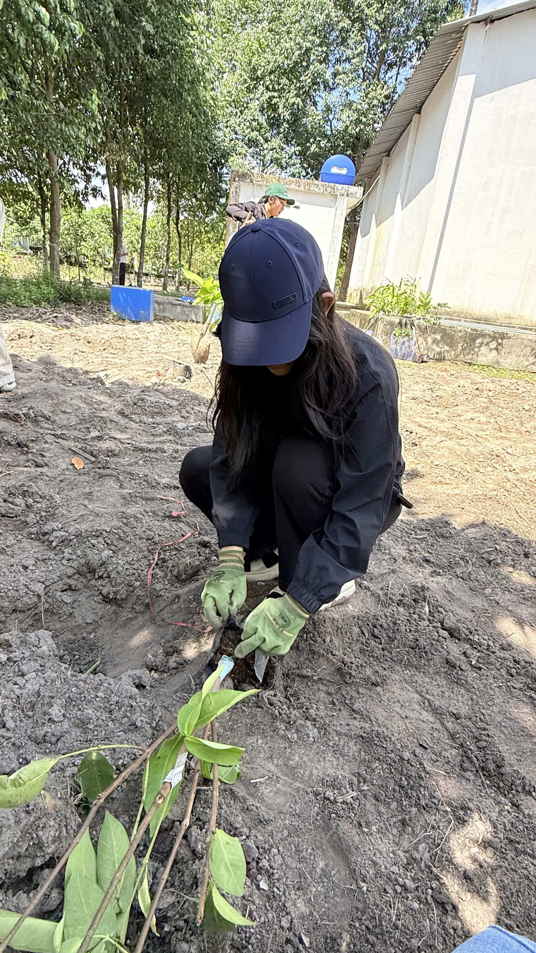 Plant For Change project photo 20